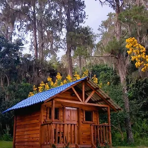  Lodge Pinar Del Valle, Glamping En - Propiedad Completa